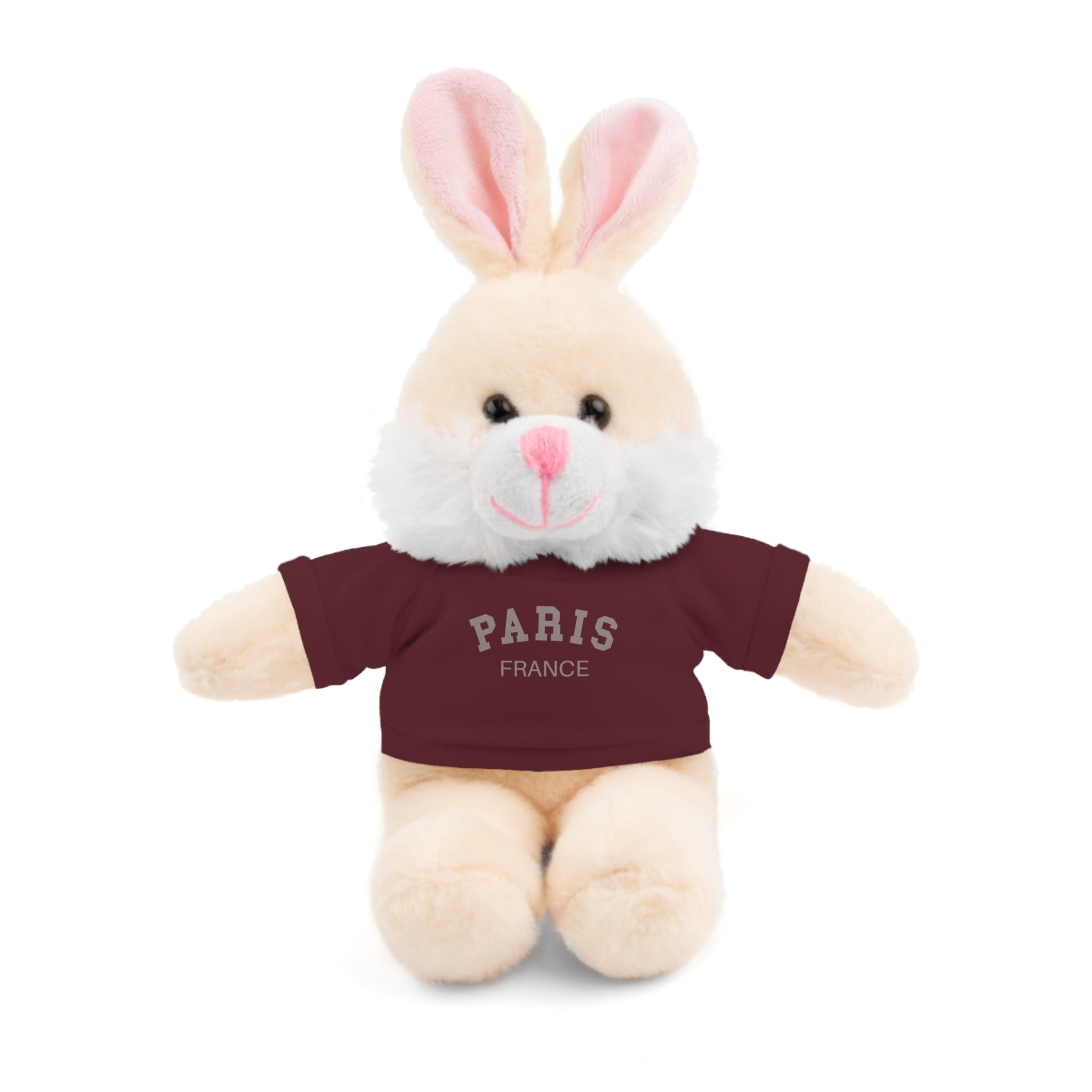 Paris, France Mini Stuffed Animal with Tee