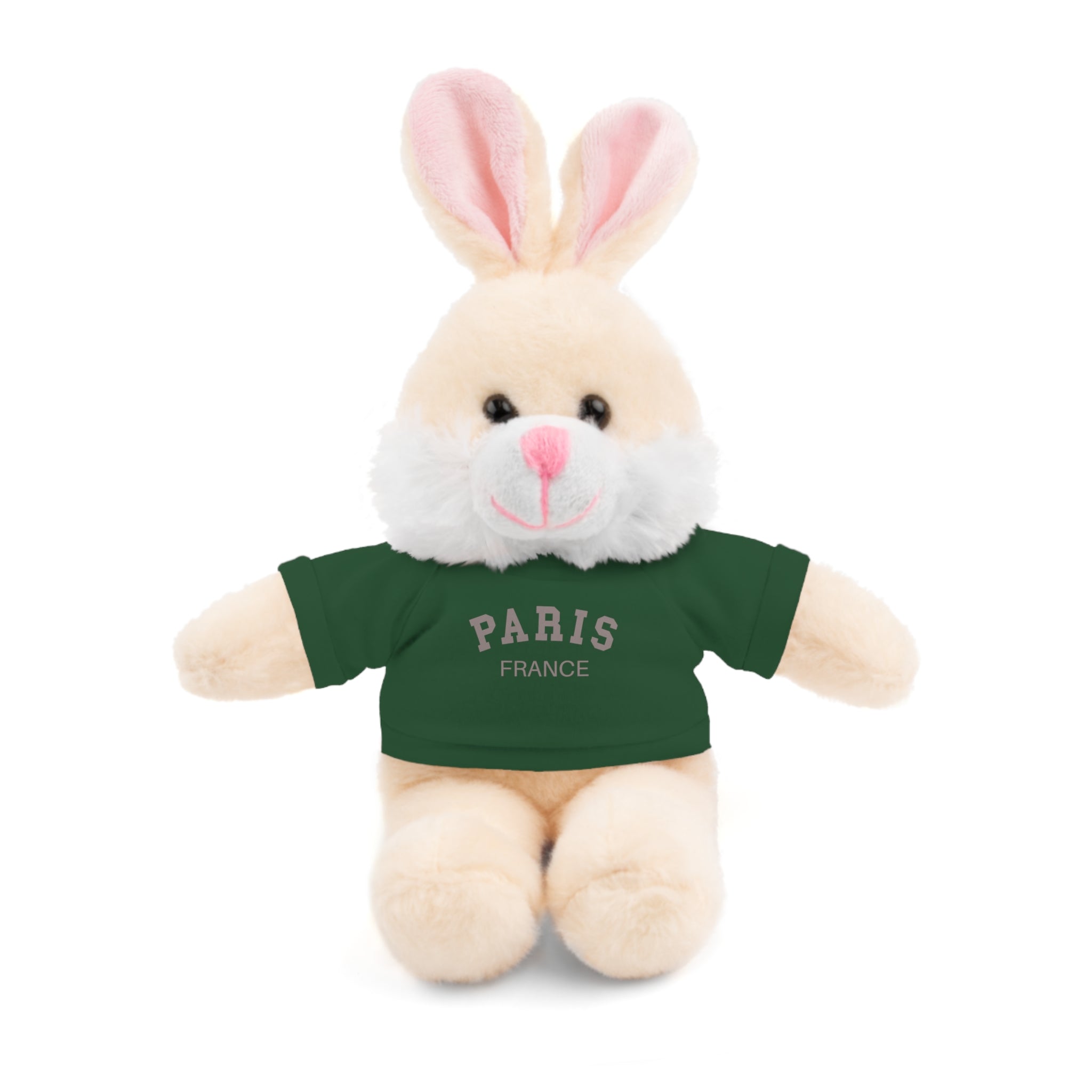Paris, France Mini Stuffed Animal with Tee