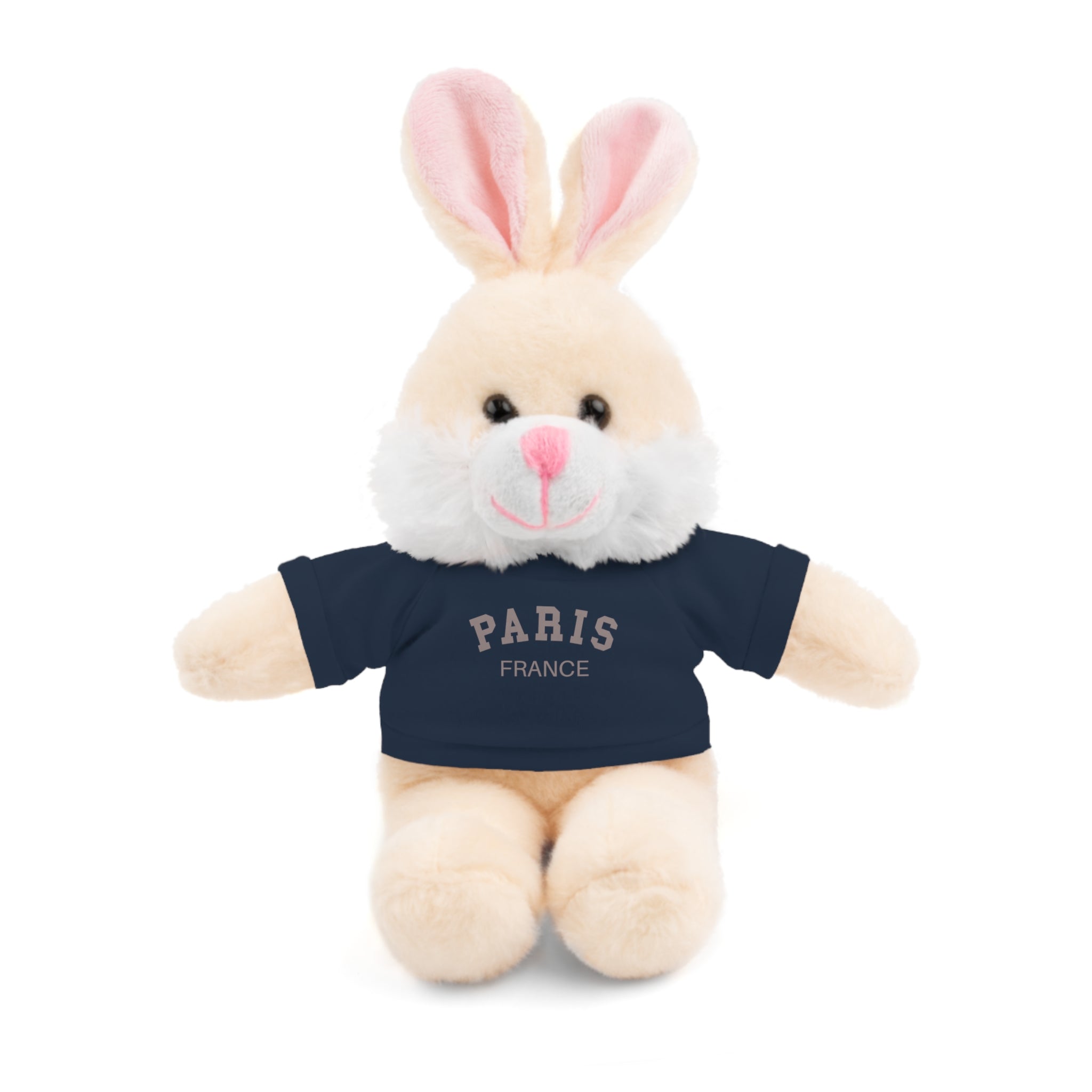 Paris, France Mini Stuffed Animal with Tee
